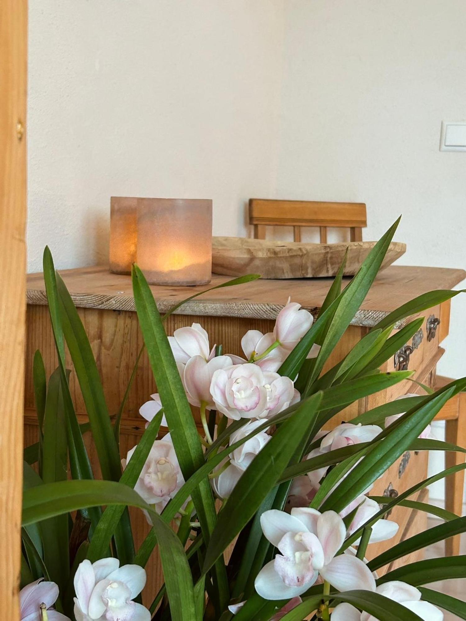 Heimat-Raum Apartment Bad Bayersoien ภายนอก รูปภาพ